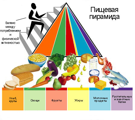 Пирамида пищевая!